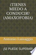¿Tienes Miedo a Conducir? (Amaxofobia)