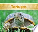 Tortugas (Turtles) (Spanish Version)