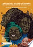 Transformaciones y necesidades contemporáneas de las territorialidades rurales afrocolombianas