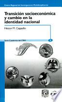 Transición cívico-política y cambio en la identidad nacional