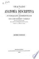Tratado de anatomía descriptiva de los animales domésticos