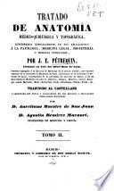 Tratado de anatomía médico-quirúrgica y topográfica