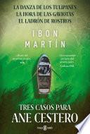 Tres casos para Ane Cestero (pack con: La danza de los tulipanes | La hora de las gaviotas | El ladrón de rostros) (Inspectora Ane Cestero)
