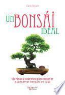 Un bonsái ideal