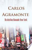 Un Destino Llamado New York