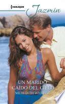 Un marido caído del cielo