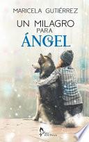 Un Milagro Para Ángel