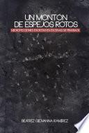 Un montÃ³n de espejos rotos