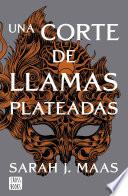 Una corte de llamas plateadas