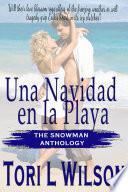 Una Navidad en la Playa