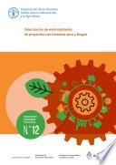 Valorización de externalidades de proyectos con biomasa seca y biogás