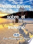 Versos Breves Sobre El Invierno