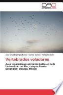 Vertebrados Voladores