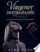 Vírgenes Destrozadas