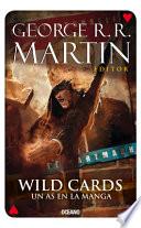 Wild Cards 6