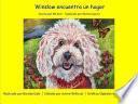 Winslow Encuentra un Hogar